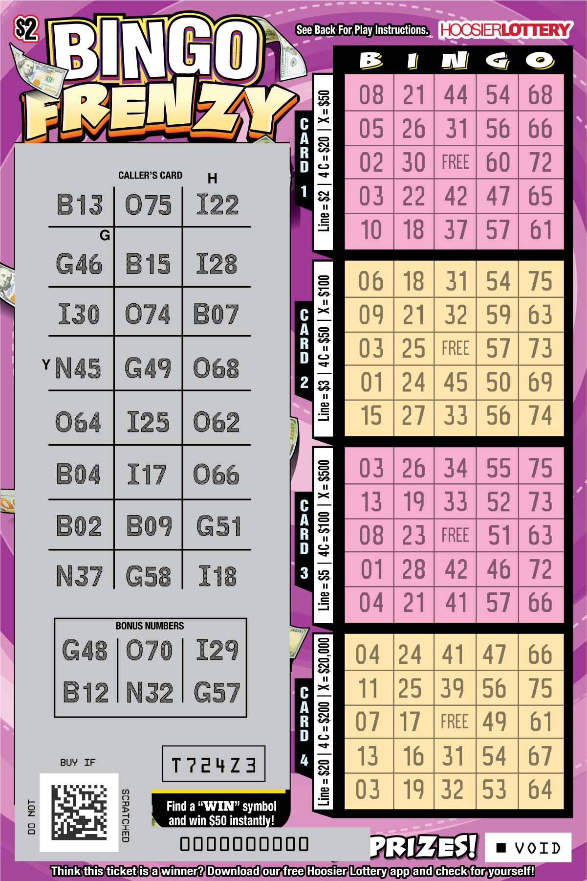 BINGO FRENZY